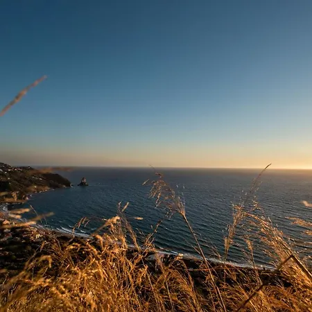 ゲストハウス Romantic Palace 4*